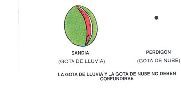 Gota de lluvia y gota de nube.