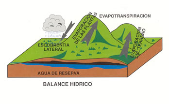 Balance hídrico.