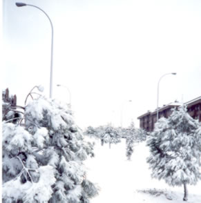 Nevada  en Pozuelo.
