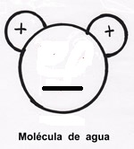 Molécula de agua